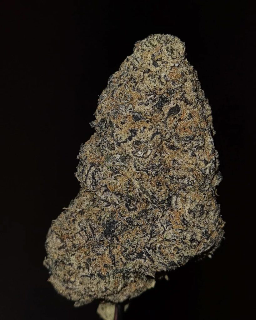 dirty glove by cannatique strain review by cannoisseurselections