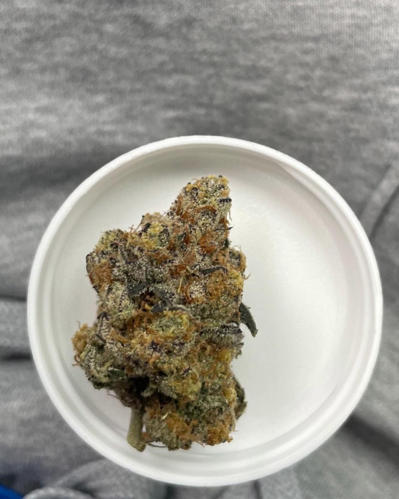 first class funk by brave boat gardens strain review by lung food