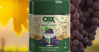 grape gasby by cannabiotix strain review by eriksreviews 2