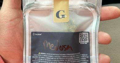 medusa by gotti strain review by lungfood 2