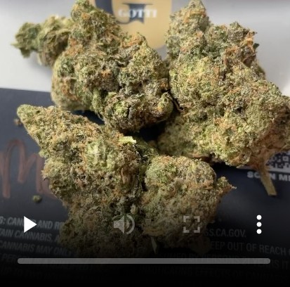 medusa by gotti strain review by lungfood 2