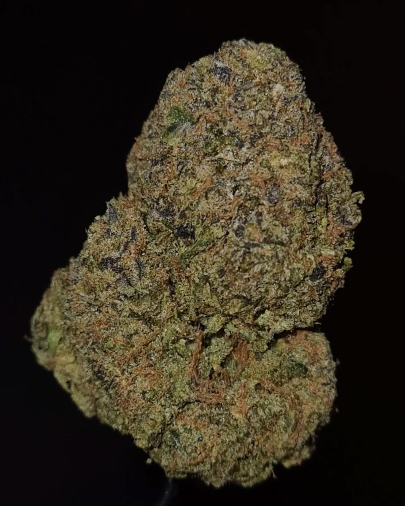 original z by terp hogz strain review by cannoisseurselections