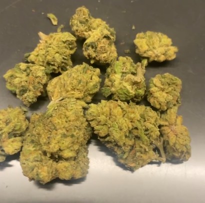 sunset sherbert x super silver haze by don merfos exotics strain review by lungfood