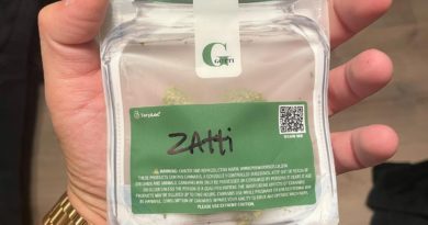 zatti by gotti strain review by lungfood 2