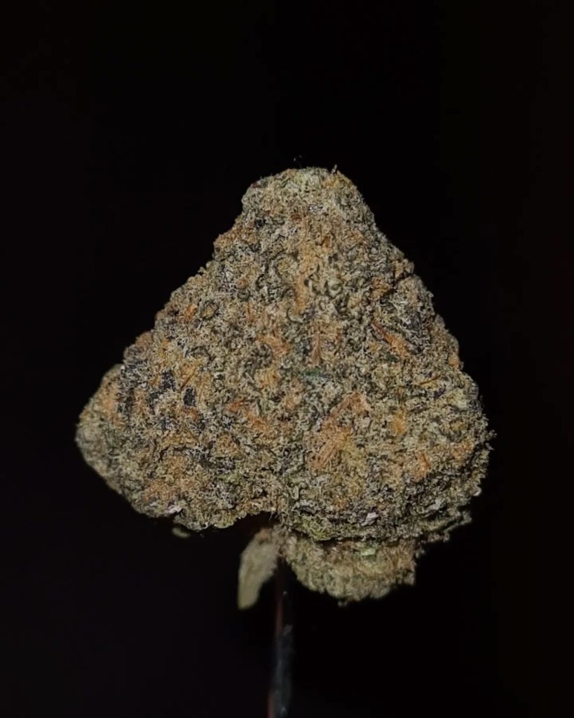 zuds by zaba cannabis co strain review by cannoisseurselections