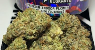 biskante by alien labs 2023 strain review by og kush lover 2