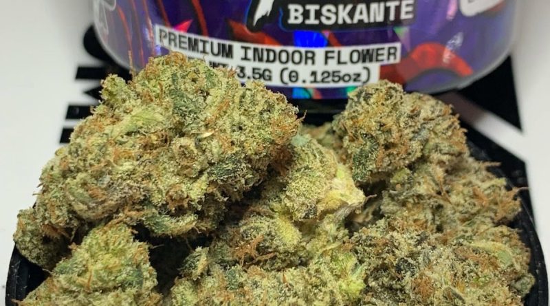 biskante by alien labs 2023 strain review by og kush lover 2