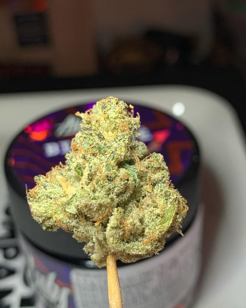 biskante by alien labs 2023 strain review by og kush lover