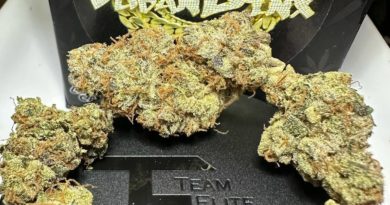 cuban linx by team elite genetics strain review by og kush lover 2