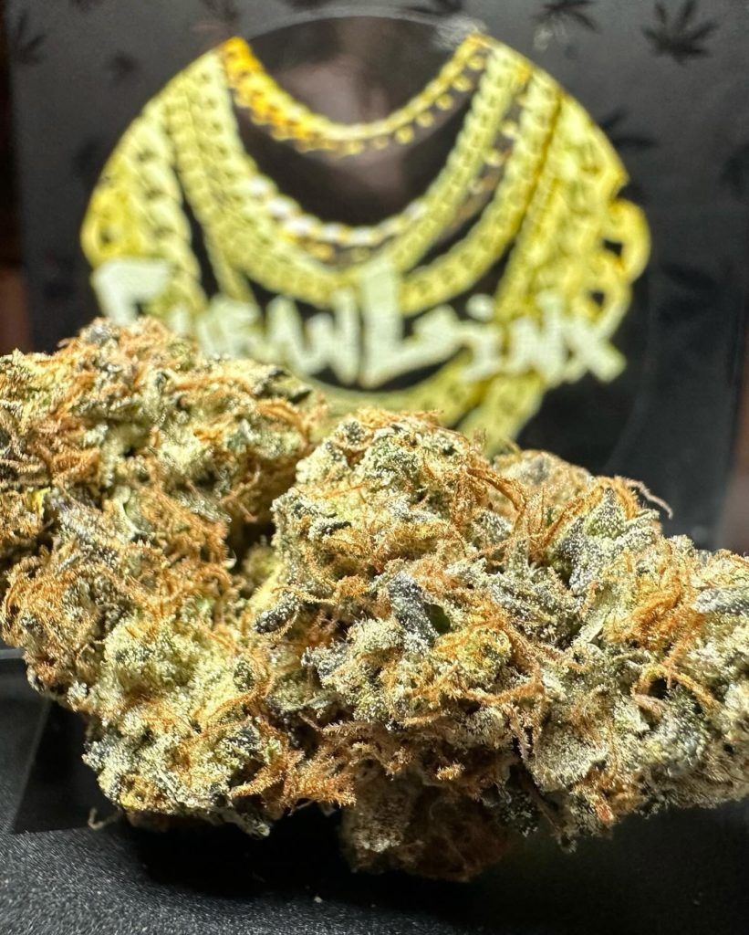 cuban linx by team elite genetics strain review by og kush lover