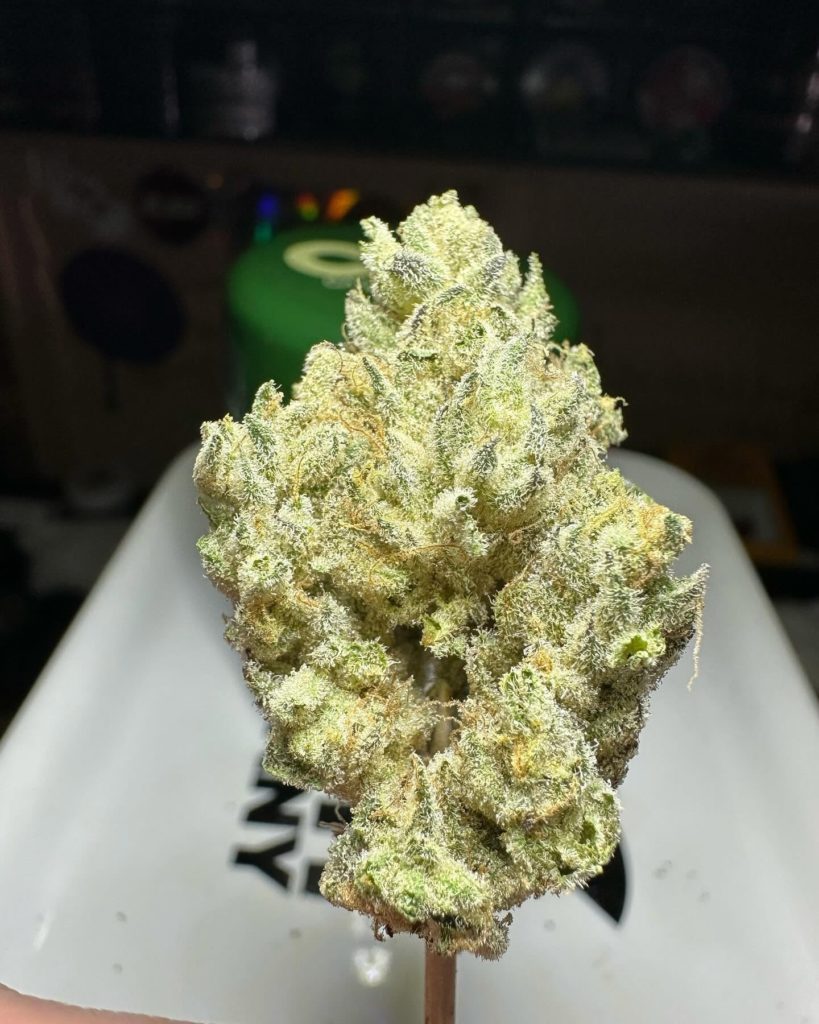 gluetopia by cannabiotix strain review by og kush lover