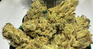 grand master by cannabiotix strain review by og kush lover 2