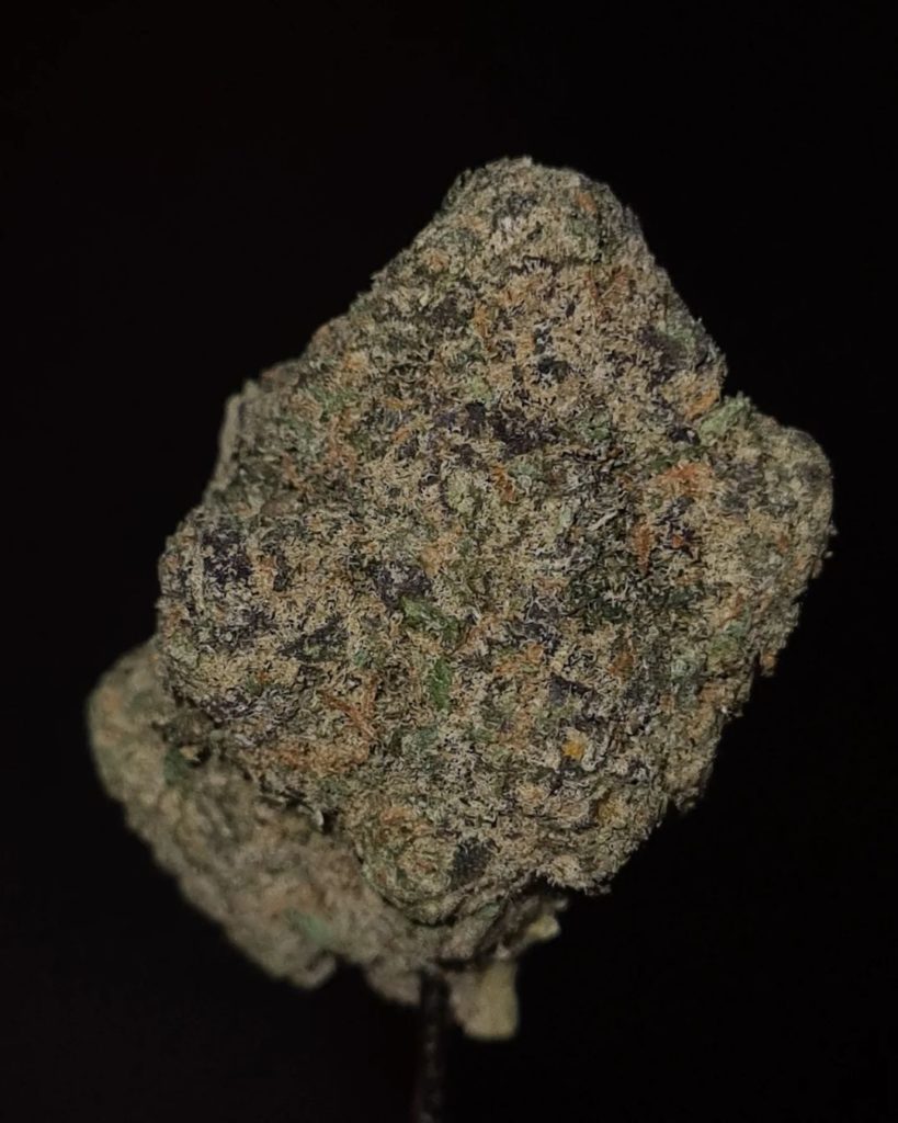 holy grail by chronic roots strain review by cannoisseurselections