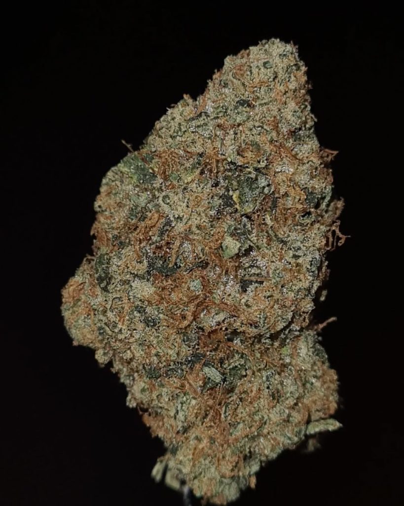 sour densuke by rare exotics strain review by cannoisseurselections