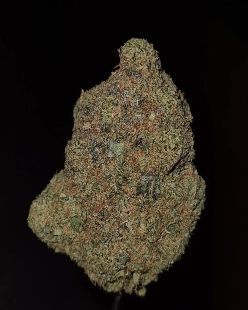 the first z by rare exotics strain review by cannoisseurselections