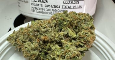 z cubed 5 by 710 labs strain review by og kush lover 3