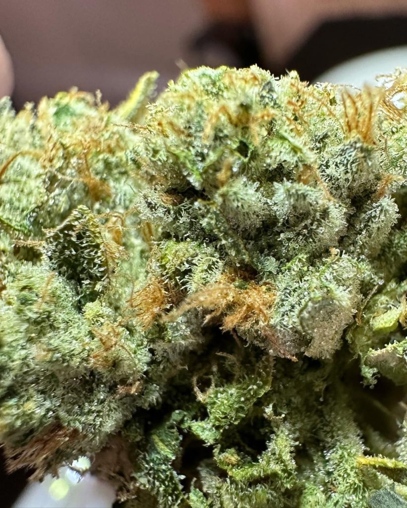 z cubed 5 by 710 labs strain review by og kush lover