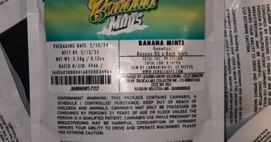 banana mints by jungle boys strain review by cannoisseurselections 2