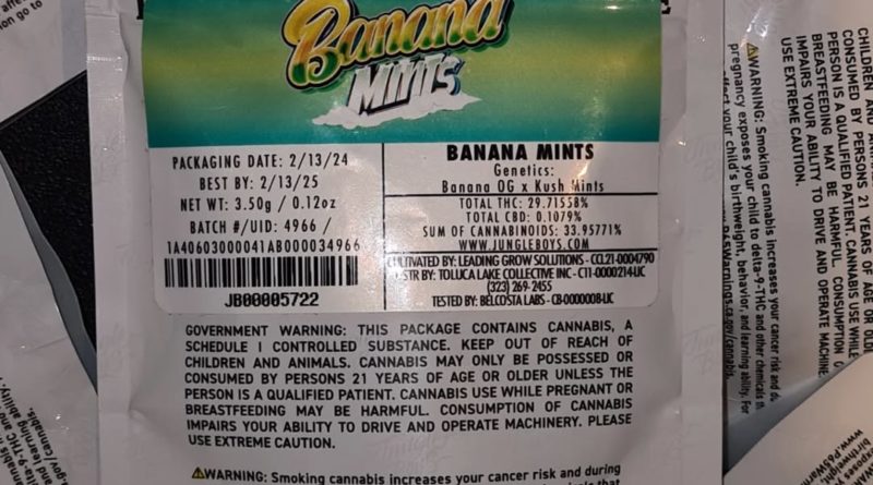 banana mints by jungle boys strain review by cannoisseurselections 2