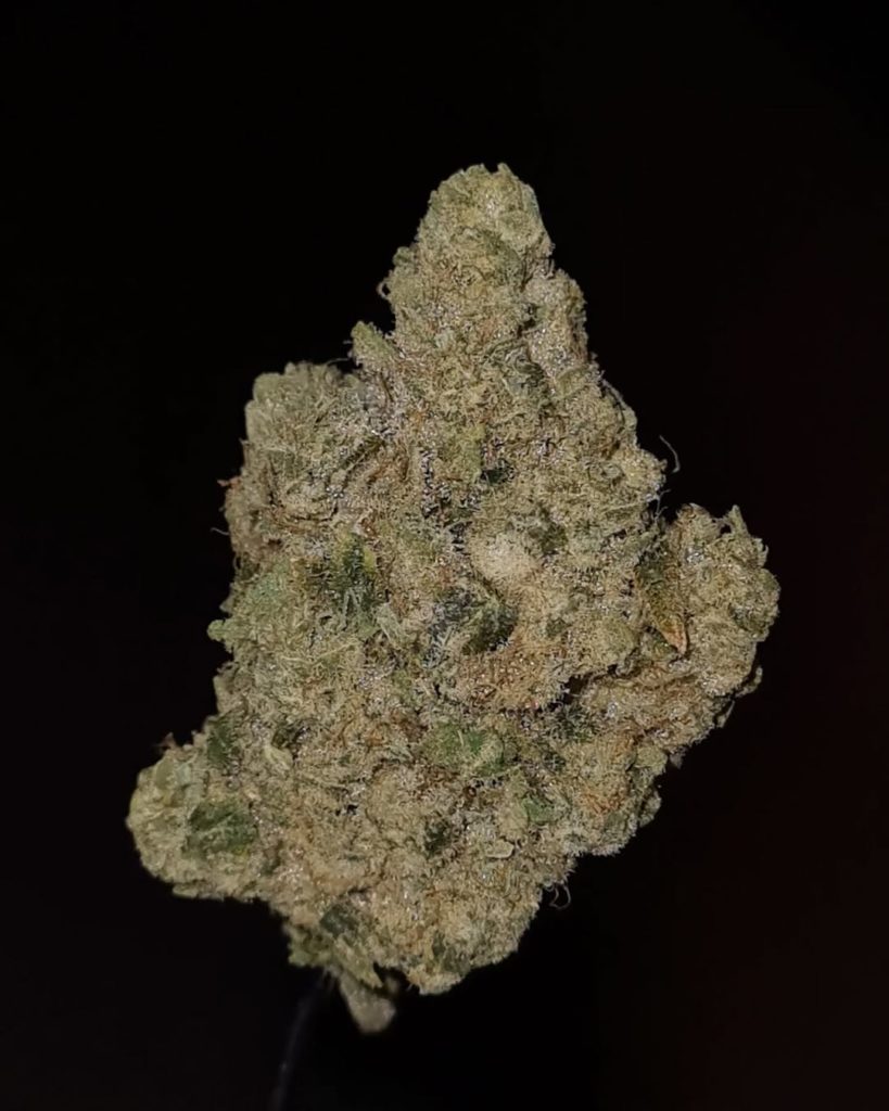 banana mints by jungle boys strain review by cannoisseurselections