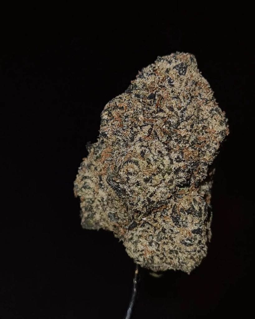 bubblegum zkittlez by zaba cannabis co strain review by cannoisseurselections