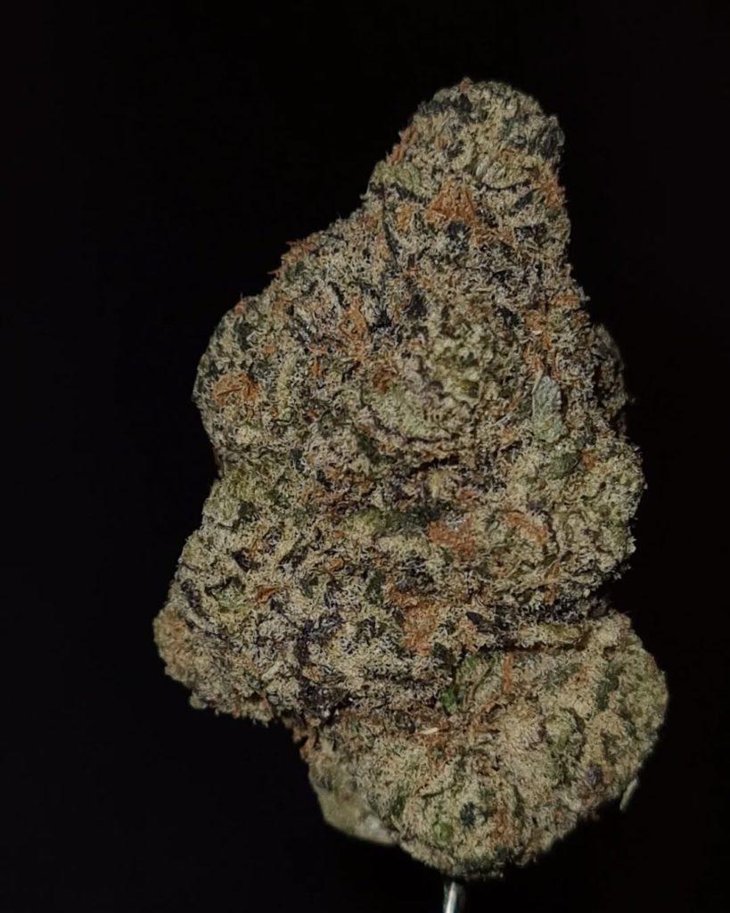 gelonade by preferred gardens strain review by cannoisseurselections