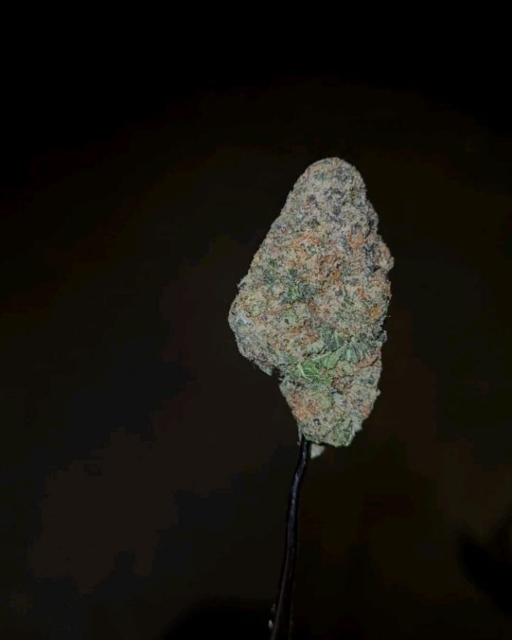 lemon kulfi ice by world is yours strain review by cannoisseurselections