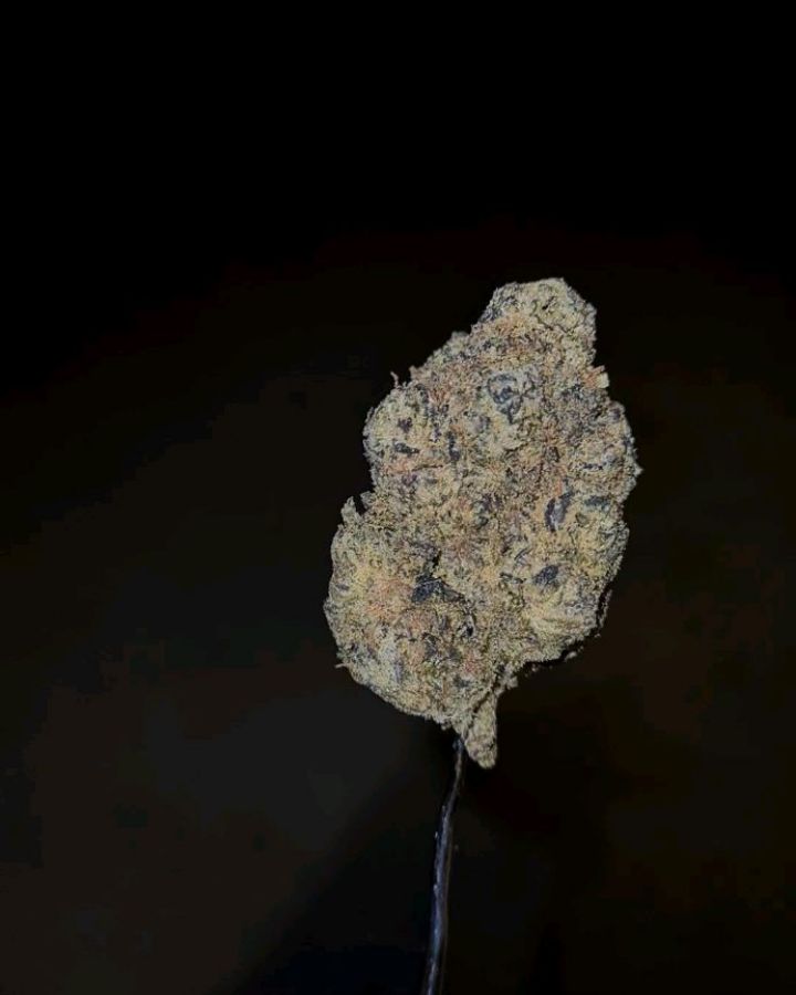 super zop bros by zourzop strain review by cannoisseurselections