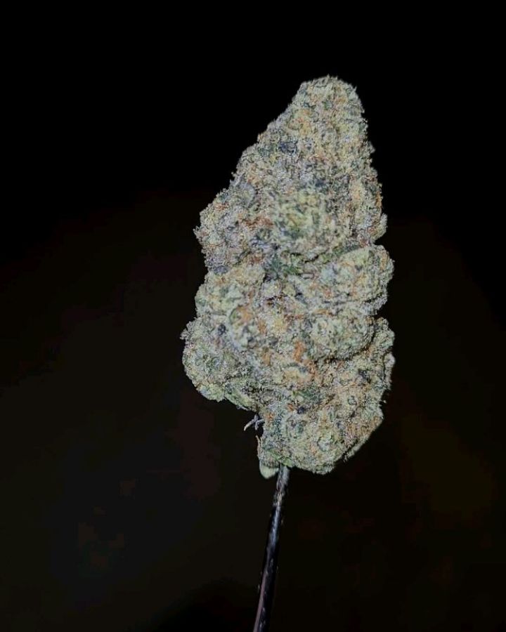 thoizen berry bonkerz by zaba cannabis co strain review by cannoisseurselections