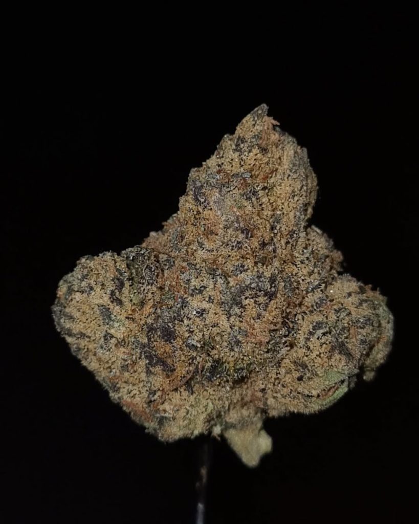 type 5 by high mart strain review by cannoisseurselections