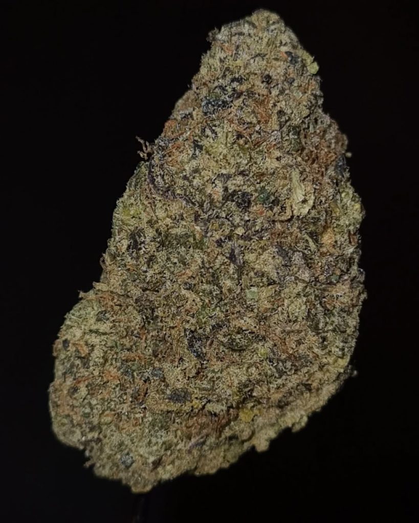 zaytona panda by world is yours exotics strain review by cannoisseurselections