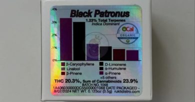 black patronus by no till kings strain review by eriksreviews 2