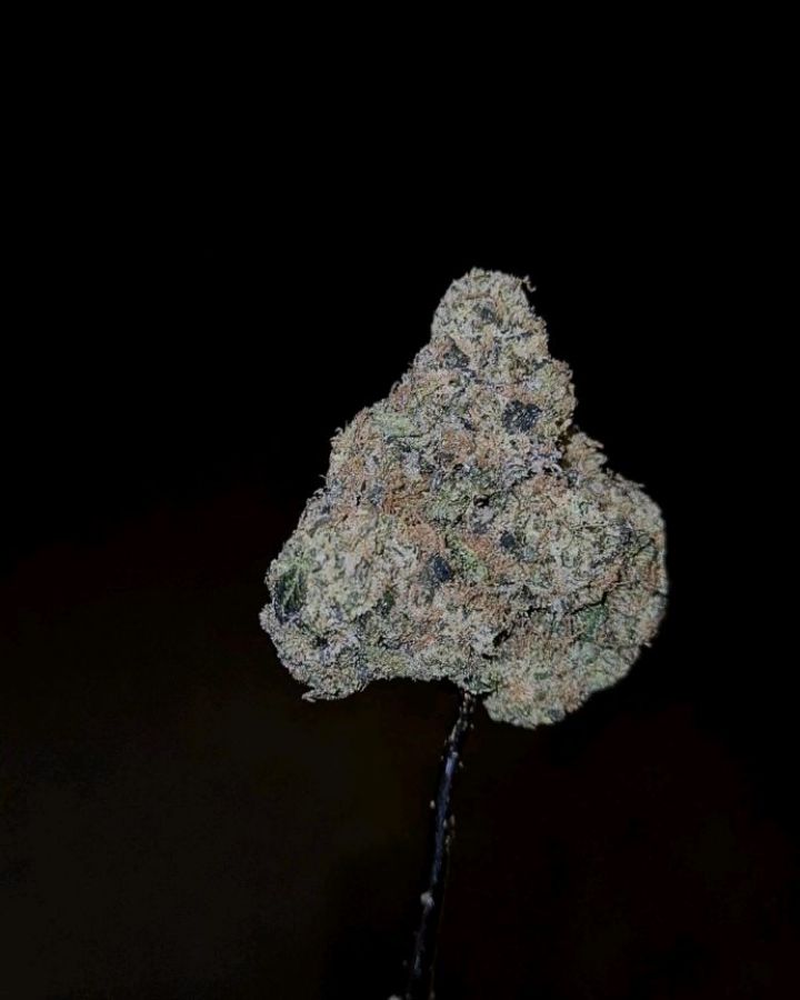 bubblejug by peppazzz strain review by cannoisseurselections