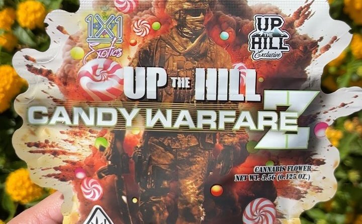 candy warfare z by up the hill exclusive strain review by fatcatreviewz