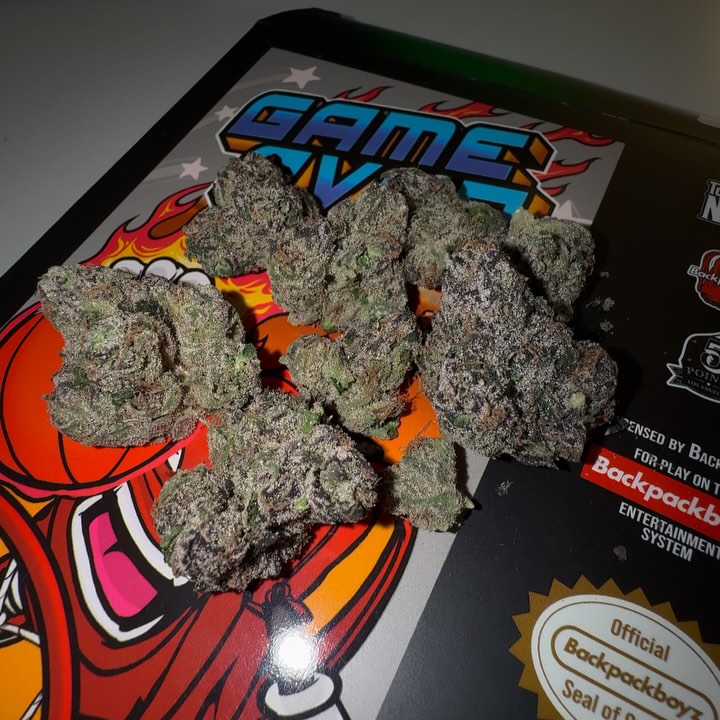 double dribble by backpack boyz strain review by eriksreviews