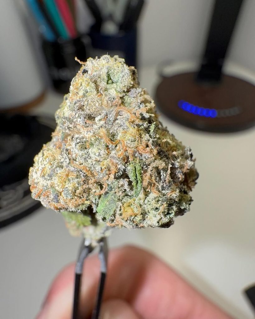 gumdumz by teds budz strain review by eriksreviews