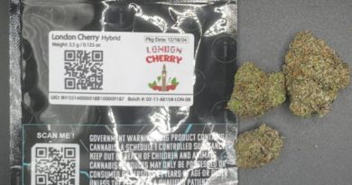 london cherry by topins strain review by averagejoereviewsnj 2