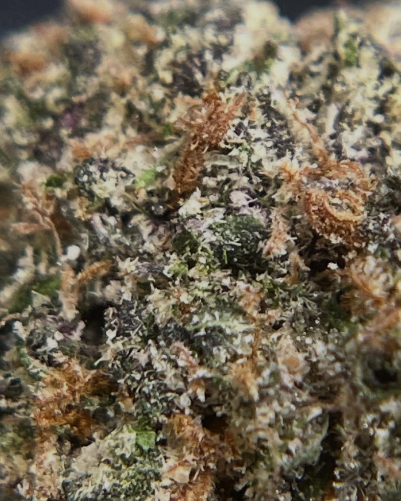 london cherry by topins strain review by averagejoereviewsnj