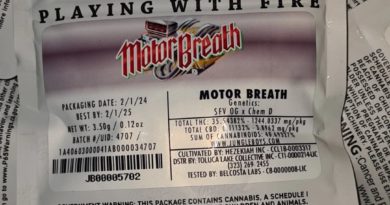 motorbreath by jungle boys strain review by cannoisseurselections 2