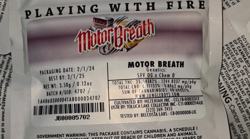 motorbreath by jungle boys strain review by cannoisseurselections 2