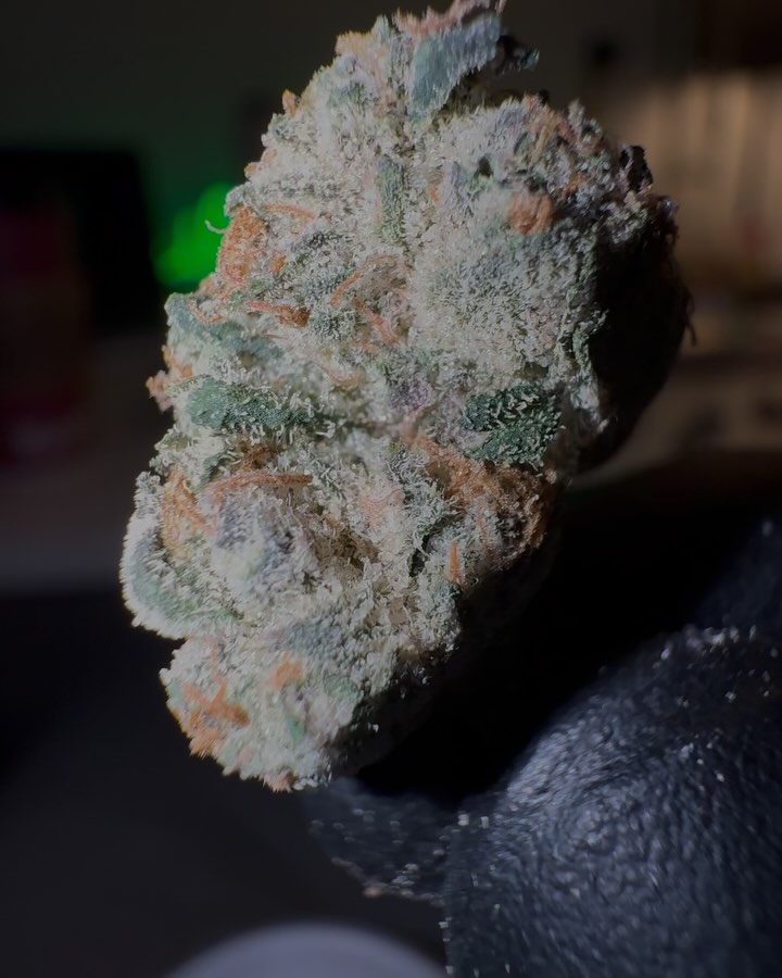 red pineapple by 12 alarm fire x teds budz strain review by eriksreviews