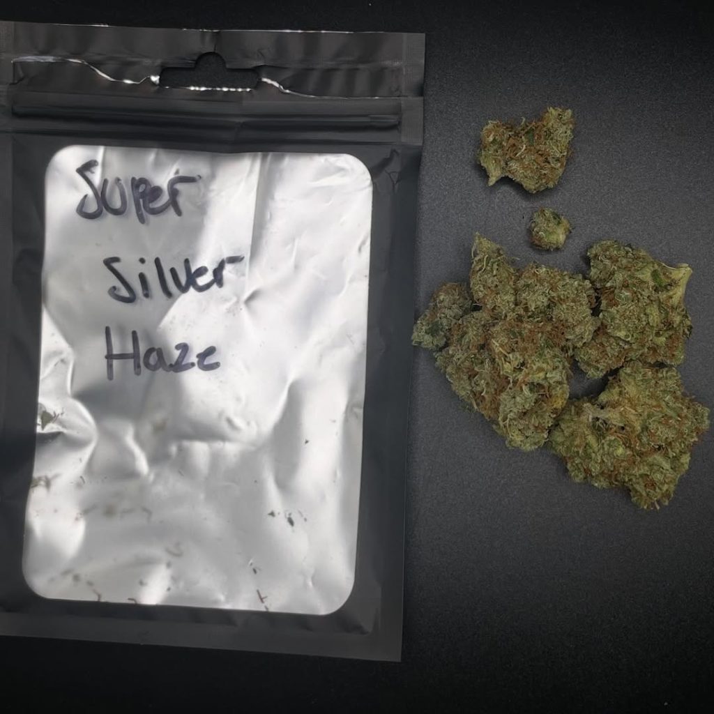 super silver haze by jersey high society strain review by averagejoereviewsnj 2