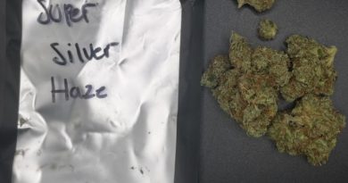 super silver haze by jersey high society strain review by averagejoereviewsnj 2