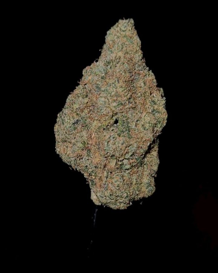 z-face by the baydestrians strain review by cannoisseurselections