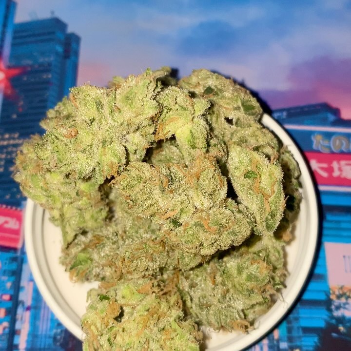 banana cream zkittlez by you know waz good strain review by jointswithjalen 2