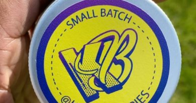 berry lemonhead by kapow berries strain review by jointswithjalen