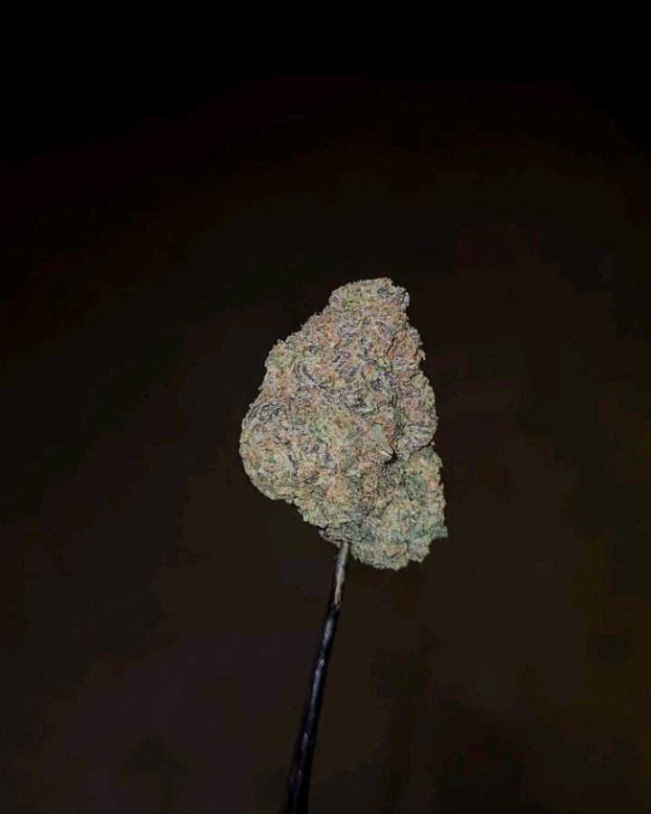 big z strain by wizard treez strain review by cannoisseurselections