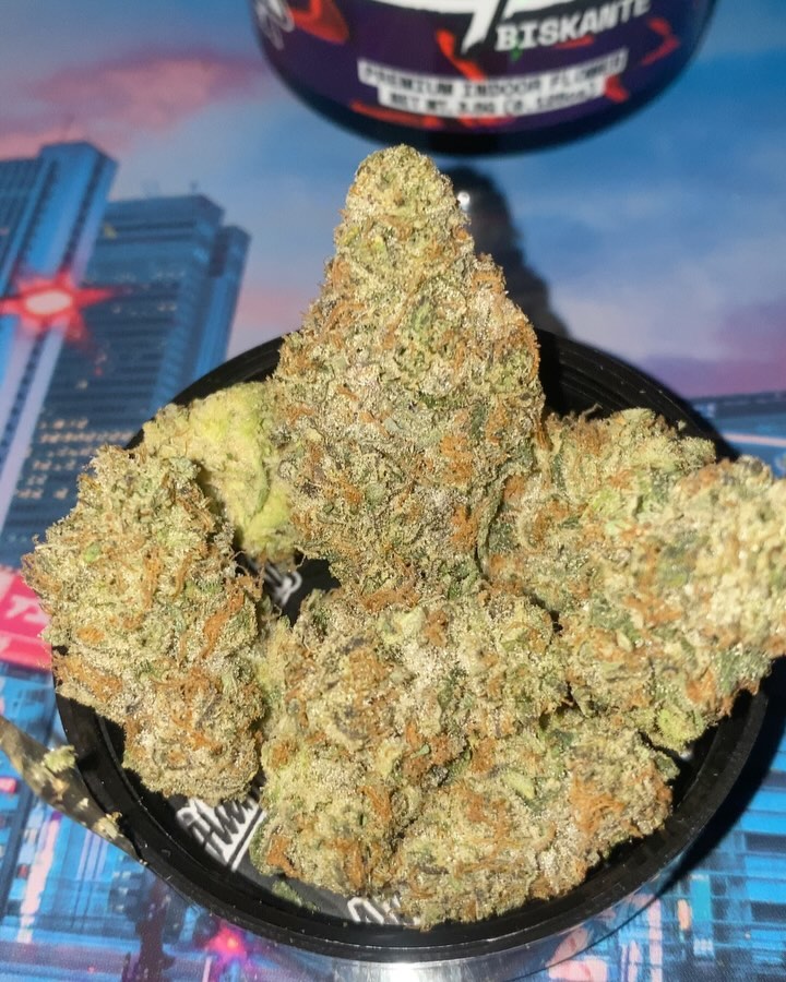 biskante 2024 by alien labs strain review by jointswithjalen 2