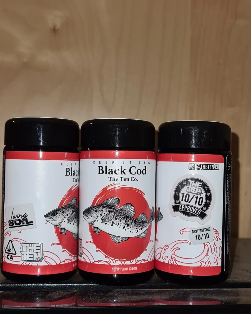 black cod by the tenco 2025 strain review by cannoisseurselections 2