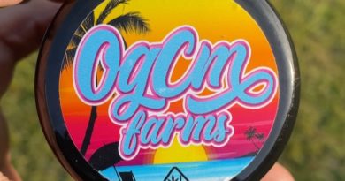 bun and cheese by ogcm farms strain review by jointsbyjalen